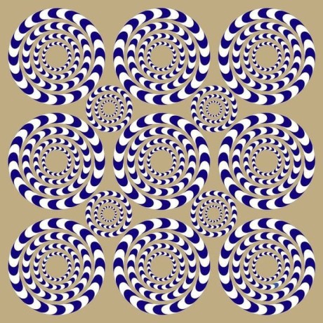 1a72ad49-66ab-4be2-9367-778ad52eeaeb