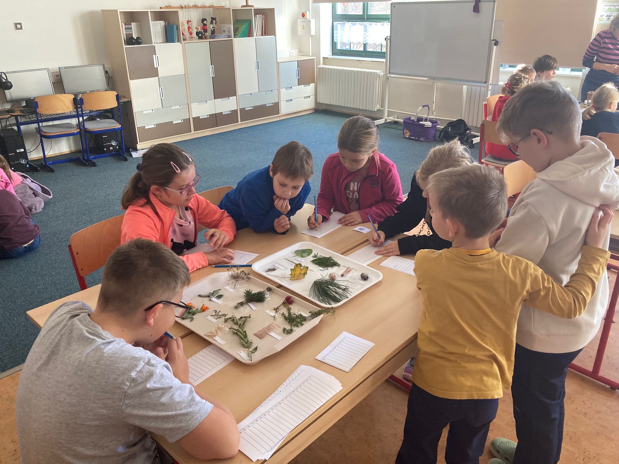 1f7a6822-9fc3-4a66-86ba-f694cfe67016