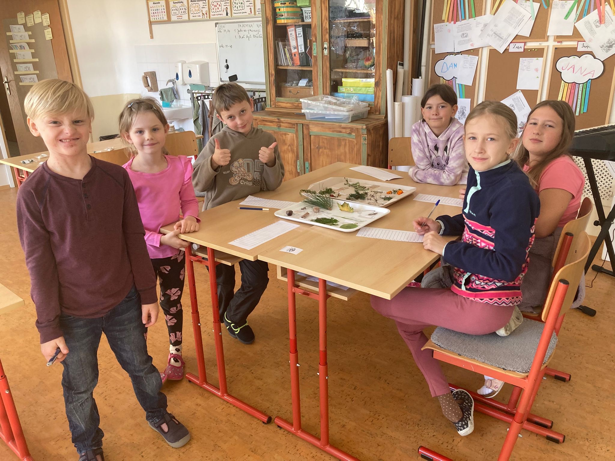 89182e6f-bca2-41d2-9f56-2d06961c90fe