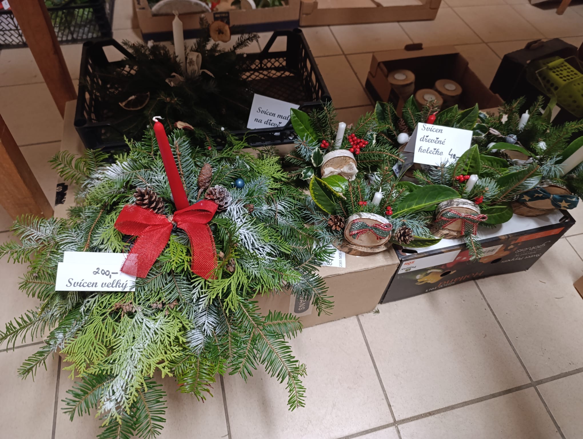 e3197ba9-8806-4e2f-bdfc-dd6ea1527972